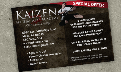 Web/Print Portfolio - Kaizen Martial Arts